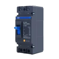 TOMZN 2P DC 1000V 100A-250A