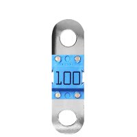 Victron 100A 58V MIDI Fuse DC Sicherung